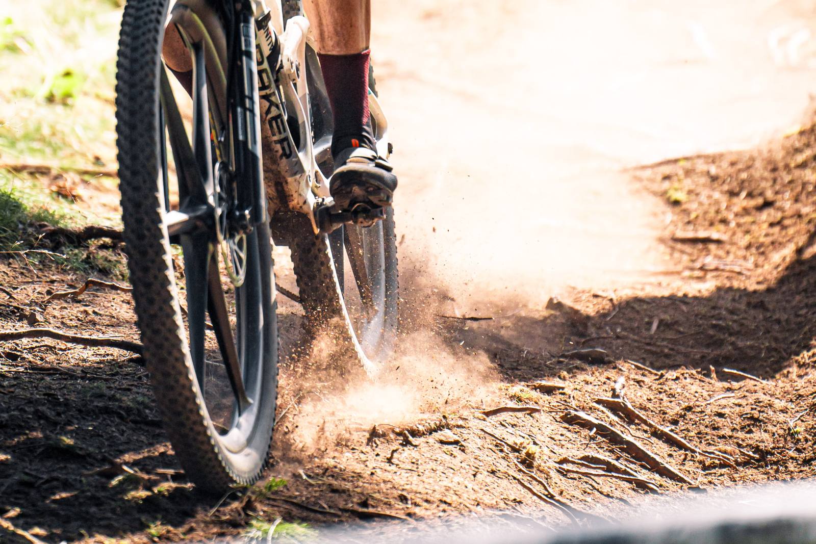 Winterberg trail park